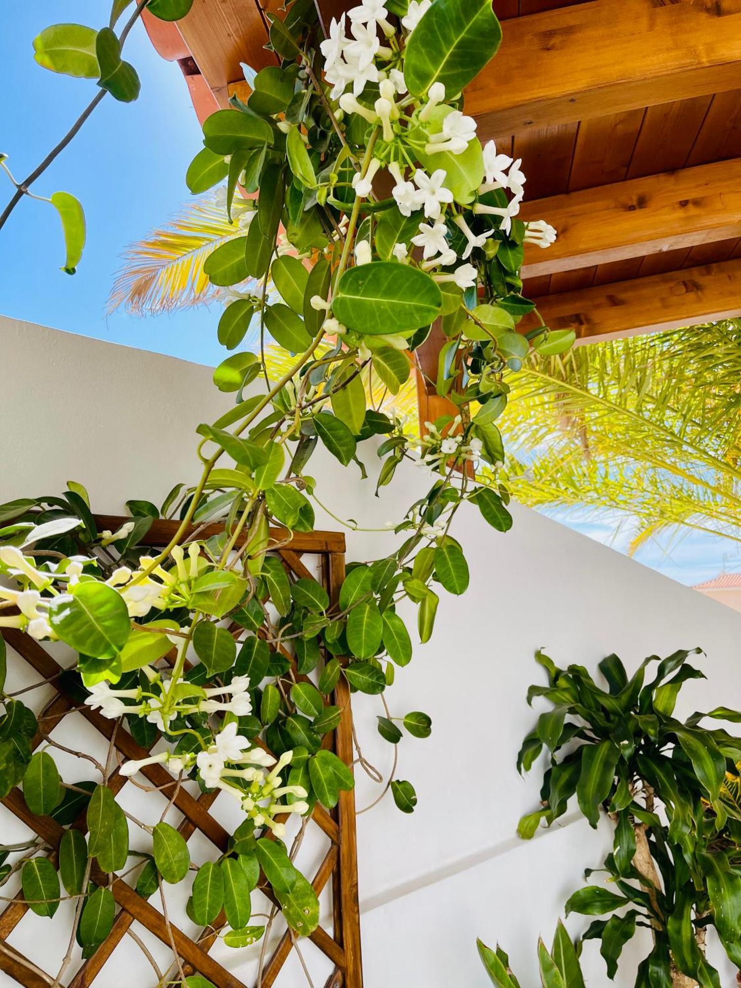 Villa Panoramic Del Atlantico Адехе Екстериор снимка